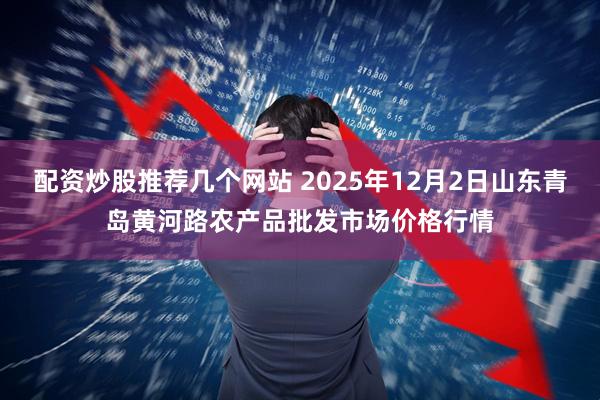 配资炒股推荐几个网站 2025年12月2日山东青岛黄河路农产品批发市场价格行情