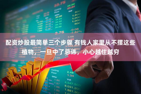 配资炒股最简单三个步骤 有钱人家里从不摆这些植物，一旦中了忌讳，小心越住越穷