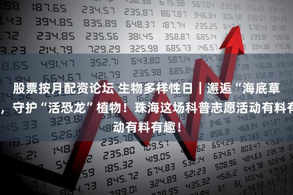 股票按月配资论坛 生物多样性日｜邂逅“海底草原”，守护“活恐龙”植物！珠海这场科普志愿活动有料有趣！