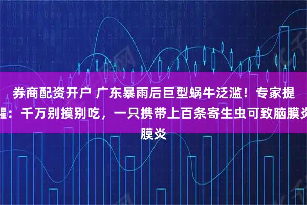 券商配资开户 广东暴雨后巨型蜗牛泛滥！专家提醒：千万别摸别吃，一只携带上百条寄生虫可致脑膜炎