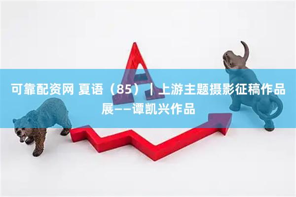 可靠配资网 夏语（85）｜上游主题摄影征稿作品展——谭凯兴作品