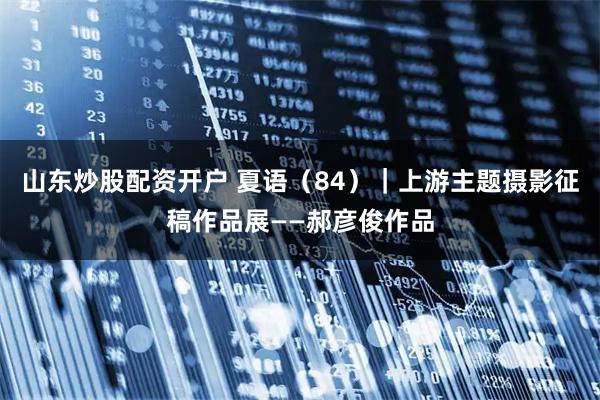 山东炒股配资开户 夏语（84）｜上游主题摄影征稿作品展——郝彦俊作品